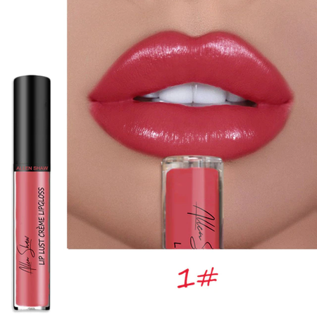 2024 NEW 12 Color Waterproof Long Lasting Moist Lip Gloss Plumper Liquid Lipstick
